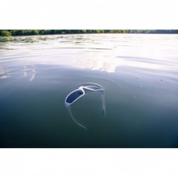 Round Polarized Motorcycle & Fishing Floating Sports Wrap Sunglasses - White - CJ12IS10LXP $19.06
