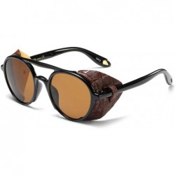 Shield Side Shield Vintage Retro Steampunk Sunglasses Classic Round Circular Glasses - Brown - C718TS2KZ8C $30.96