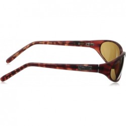 Wrap Black Flys Micro Fly Wrap Sunglasses - Matte Tort - CQ1188GGGHL $47.57