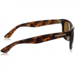 Wayfarer Classic Wayfarer HTG1006 C2 Polarized Round Sunglasses - Brown - C611OCMV39B $33.09